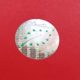 EU Eco Hologram Sticker 20 mm Round (green)