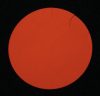 "WARRANTY VOID IF SEAL IS BROKEN" Sicherheitspapier-Etikett 35 mm rund, fluoreszierend rot