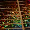 GVCO Security Hologram Sticker 50x10 mm