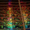 GVCO Security Hologram Sticker 50x10 mm