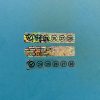 5-Year (2026-2030) Review Hologram Sticker 50x10 mm