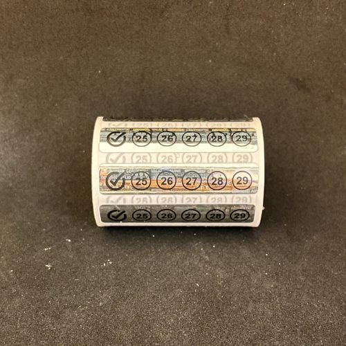 5-Year (2026-2030) Review Hologram Sticker 50x10 mm